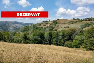 Casa de vacanta, 4 camere, teren 18000mp - 1