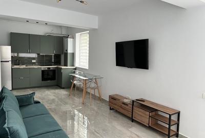 Particular - Ap.cu curte si terasa  - Straulesti - 3