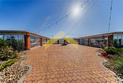 Oportunitate investitie domeniu de agrement si sala de evenimente de vanzare - 6