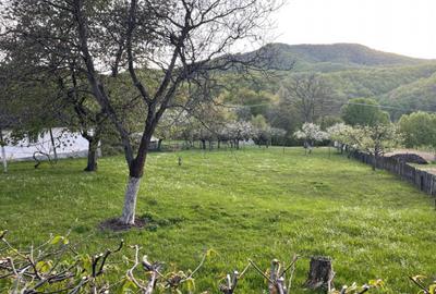 Teren de 1590 mp, în Firiza - 2
