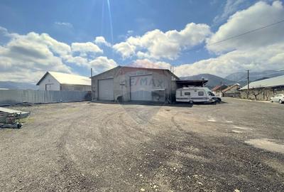 Spațiu industrial, de 1,255 mp, în Cernatu - 8