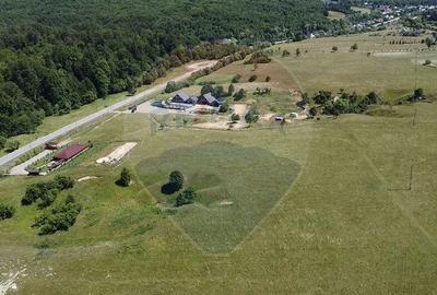 Teren 5,561mp Paltinoasa / Strada principala - 6