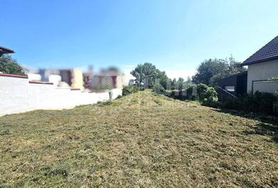 Casa individuala | Teren 2858mp | Front 14m | Dambul Rotund! - 3