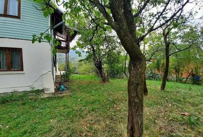 Casă cu 1 camere cu Teren 5000 Mp în Drajna - 5