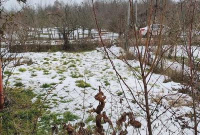 Casă în Valea Bradului - 1