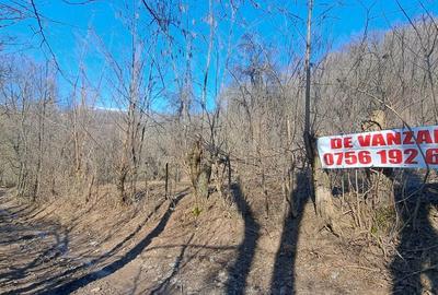 Spațiu comercial, în Podul Lung - 12