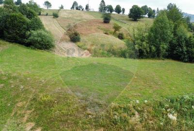 Teren 4397 mp Intravilan Manastirea Humorului / Lunga Buc... - 2