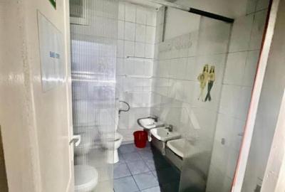 Vila individuala 8 camere Parcul Carol - 3