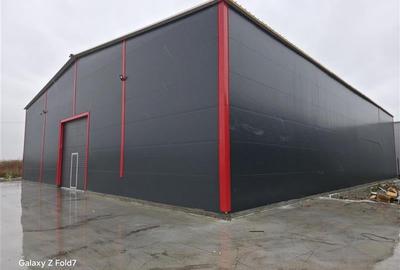 Inchiriere depozit/hala/spatiu industrial Theodor Pallady - Gara Catelul - 3
