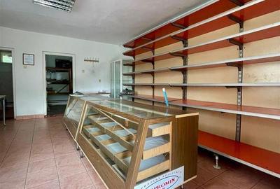 Casă cu 4 camere în Diosig - 6