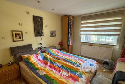 Vand vila in Roman zona buna - 6