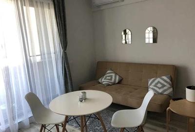 Garsoniera zona Dristor 3 minute de metrou - 1