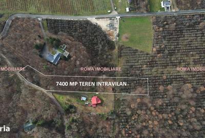 Teren de 7400 mp, în Tăuții-Măgherăuș - 10