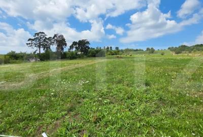 Teren de 10000 mp, în Cetății