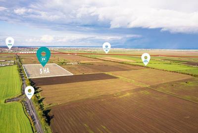 Teren de 50000 mp in Arad - 5