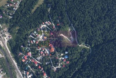 Teren extravilan de 37496 mp, în Cumpătu - 3