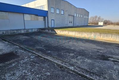 Spațiu industrial, de 6,227 mp, în Homorog - 16