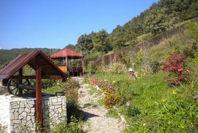 Casă individuală cu 5 camere cu Garaj în Dâmbul Rotund - 14
