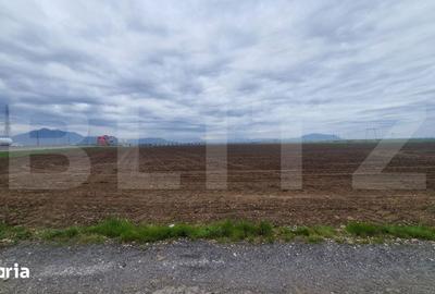 Teren de 18000 mp, în Hărman - 4