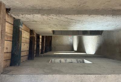 Casă cu 6 camere în Balinț - 3