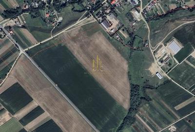 Teren de 100000 mp, în Iacobești - 1