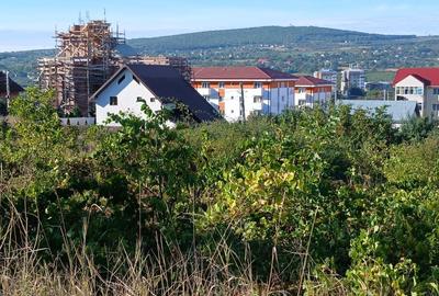 Intravilan - 1