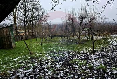 Teren Construcții intravilan de 4516 mp, în Doina - 25