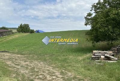 Vanzare Teren Intravilan Ighiu-Telna 2060 mp deschidere 20 m asfalt apa gaz curent canal vedere si - 11