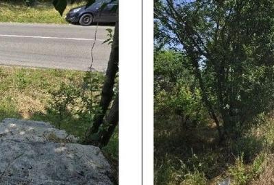 Casă cu 1 camere cu Teren 1200 Mp în Cucuruzu - 8