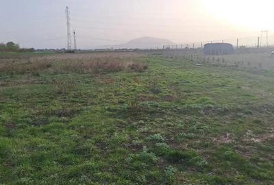 Spațiu comercial, în Hălchiu - 3