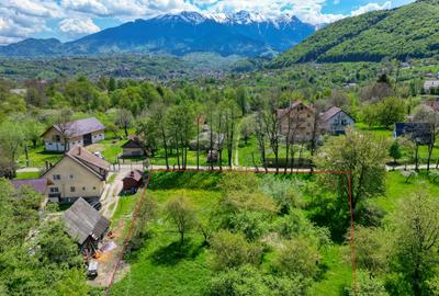Teren Construcții intravilan de 763 mp, în Tohănița - 18