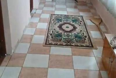 Casă cu 4 camere în Ologeni - 1