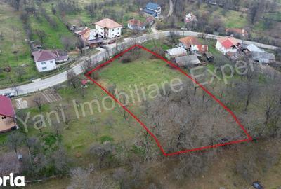 Teren de 2674 mp, în Cepari - 3