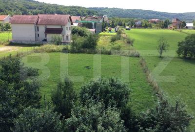 Casa imprimata de un clasic mereu in tendinte, zona Faget, teren 1800 mp! - 3