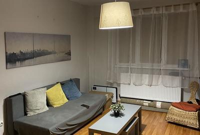 Apartament cu 2 camere semidecomandat în Teiul Doamnei - 4