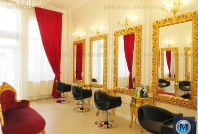 Vila cu 14 camere de vanzare, zona Ultracentral, 327 mp #13125 - 7