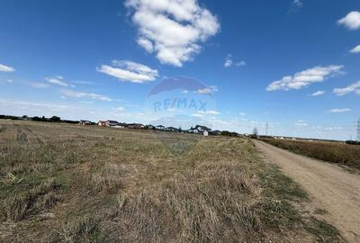 Vand teren intravilan 10.000 mp in Sabareni - 8