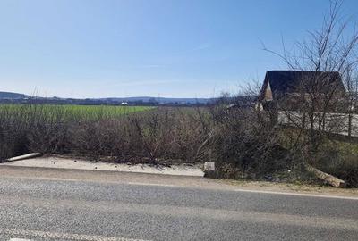 Teren de 7000 mp, în Oșorhei