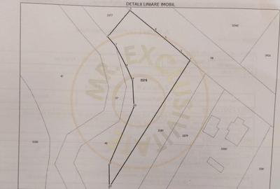 Teren intravilan 1843 mp - Cerbu/Albota/Arges - cu proiect d - 5