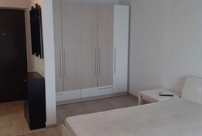 Garsonieră semidecomandată în Alexandriei - 3