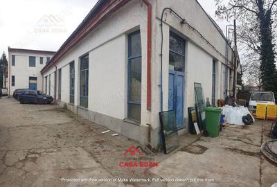 Hale+birouri in Campina--655mp--400.000e - 6