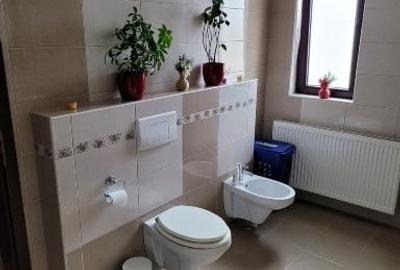 Casa duplex 4 camere- 148 mp utili-curte jacuzzi, intrarea in Cisnadie - 19