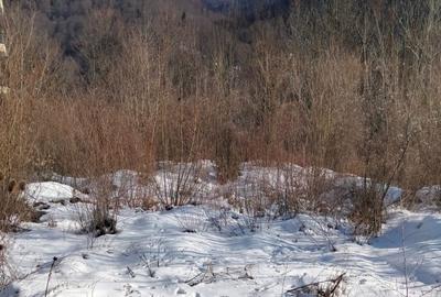 Teren agricol intravilan de 444 mp, în Central - 3