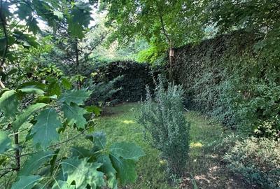 Vila de vanzare cu vedere la padure - P+1 zona Baneasa - 16