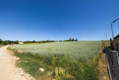 6 loturi casa Maierus,1.375mp,langa DN13, Doripesco,Brasov: 35min, zona verde:FI - 12