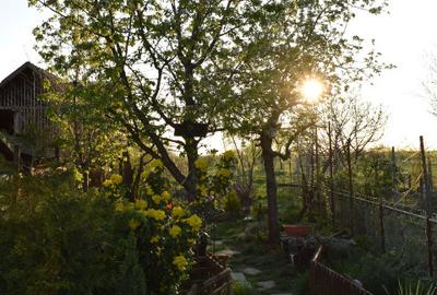 Casă individuală cu 5 camere cu Teren 1000 Mp în Ianova - 1