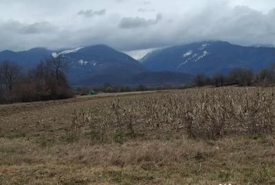 Teren de 2100 mp, în Arpașu de Sus - 1