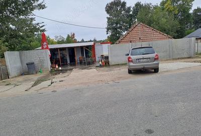 Teren de 4150 mp, în Icoana - 1