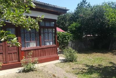 Casă cu Teren 900 Mp în Costești - 3
