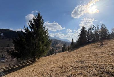 Spațiu comercial, în Ceahlău - 4